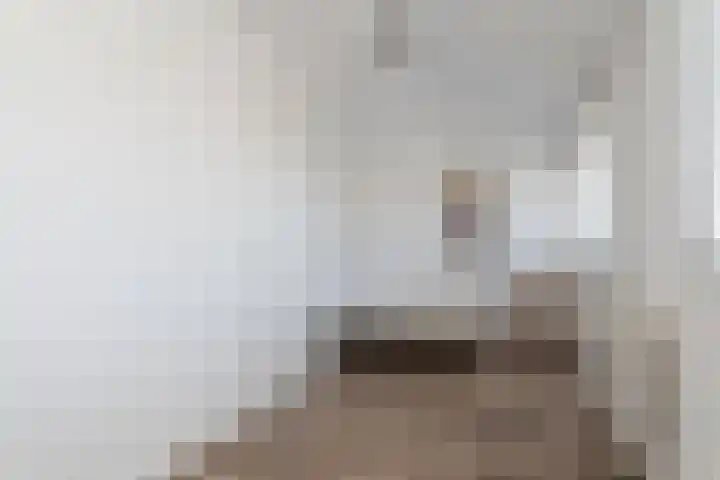 Schapenweide 1 Leiderdorp thumbnail 55