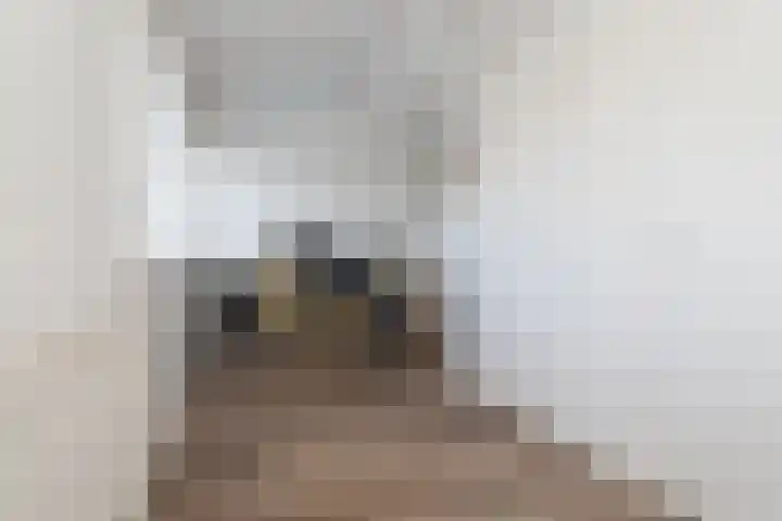 Schapenweide 1 Leiderdorp thumbnail 56