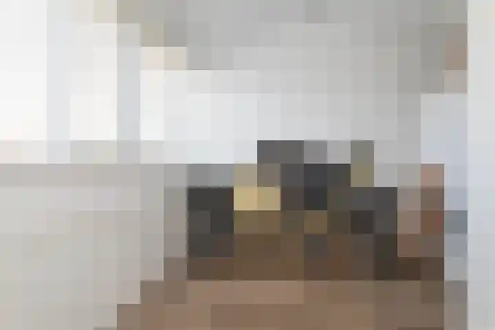 Schapenweide 1 Leiderdorp thumbnail 57