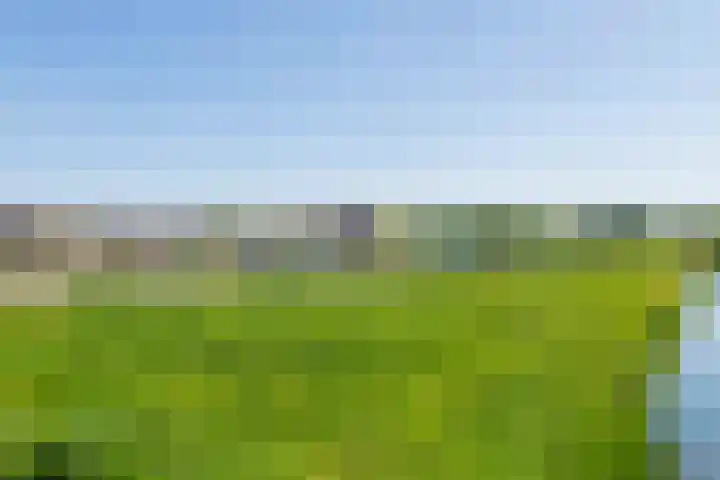 Schapenweide 1 Leiderdorp thumbnail 58