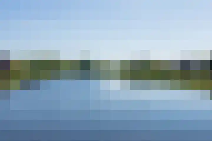 Schapenweide 1 Leiderdorp thumbnail 59