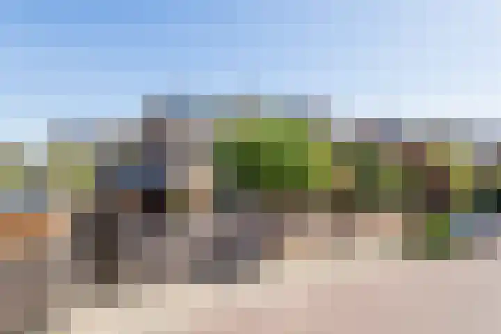 Schapenweide 1 Leiderdorp thumbnail 6