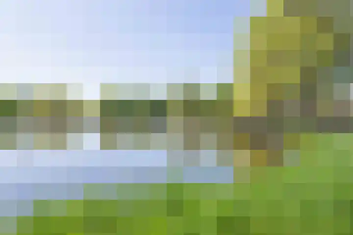 Schapenweide 1 Leiderdorp thumbnail 61