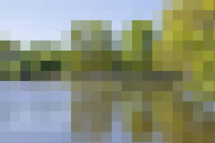 Schapenweide 1 Leiderdorp thumbnail 62