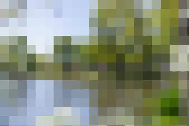 Schapenweide 1 Leiderdorp thumbnail 63