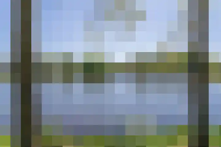 Schapenweide 1 Leiderdorp thumbnail 64