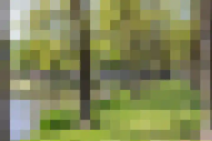 Schapenweide 1 Leiderdorp thumbnail 65