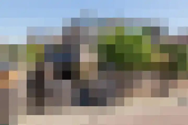 Schapenweide 1 Leiderdorp thumbnail 7