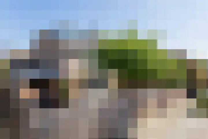 Schapenweide 1 Leiderdorp thumbnail 70