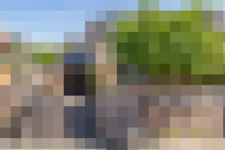 Schapenweide 1 Leiderdorp thumbnail 8