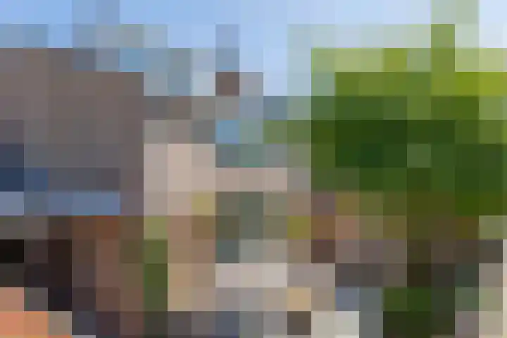Schapenweide 1 Leiderdorp thumbnail 9