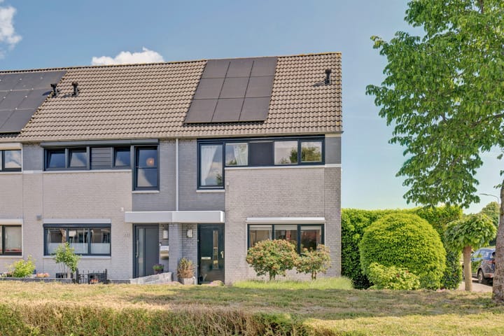 Schapenweide 113 en Duiven foto