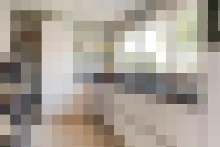 Schapenweide 113 Duiven thumbnail 10