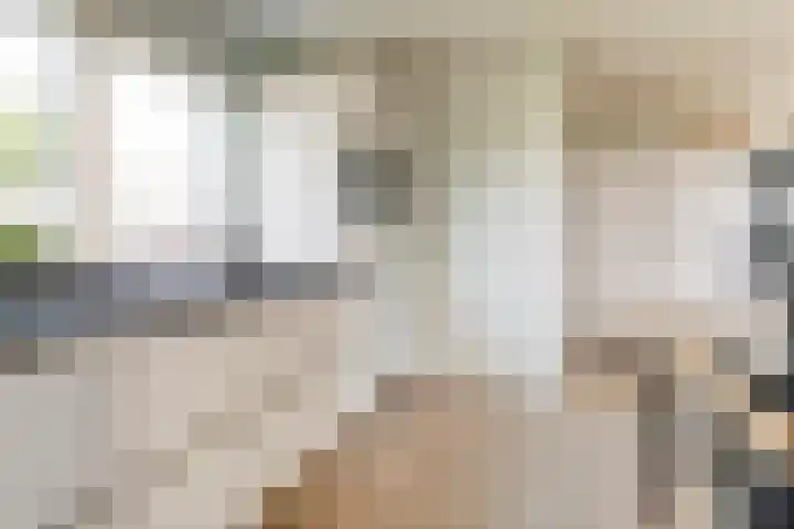 Schapenweide 113 Duiven thumbnail 12