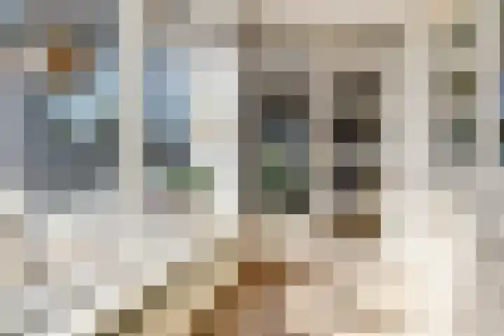 Schapenweide 113 Duiven thumbnail 13