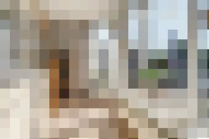 Schapenweide 113 Duiven thumbnail 14