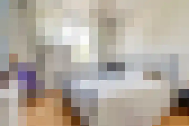 Schapenweide 113 Duiven thumbnail 17