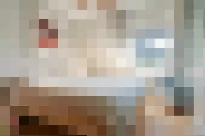 Schapenweide 113 Duiven thumbnail 19