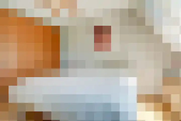 Schapenweide 113 Duiven thumbnail 21