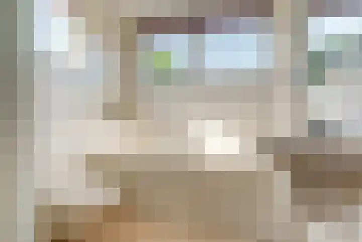 Schapenweide 113 Duiven thumbnail 23
