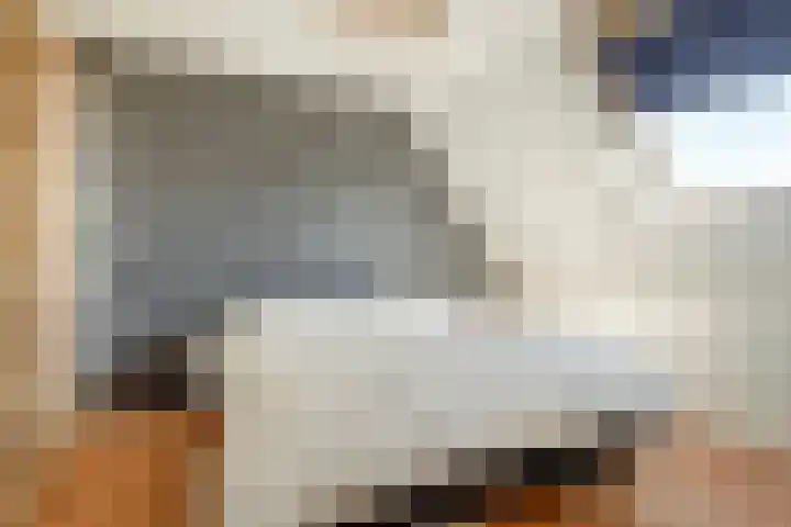 Schapenweide 113 Duiven thumbnail 27