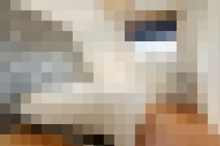 Schapenweide 113 Duiven thumbnail 28
