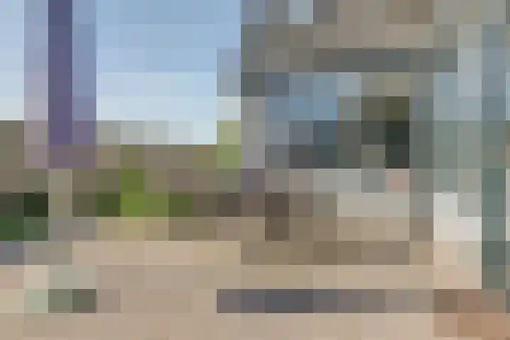 Schapenweide 113 Duiven thumbnail 29