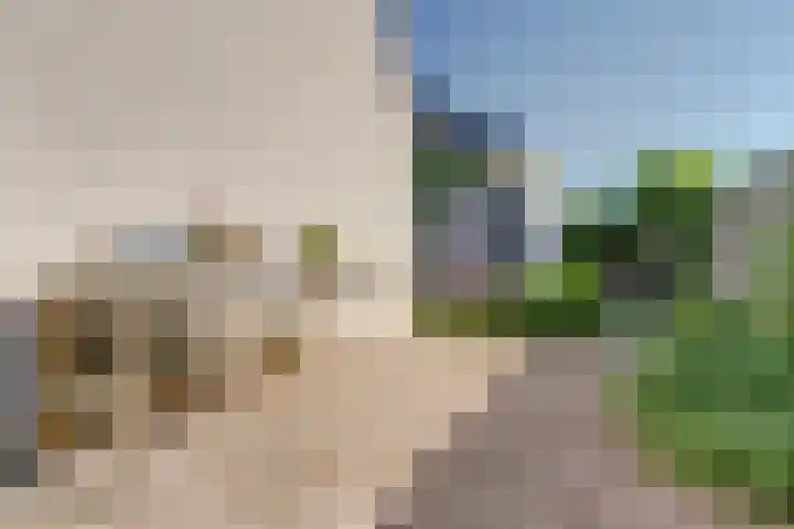 Schapenweide 113 Duiven thumbnail 31