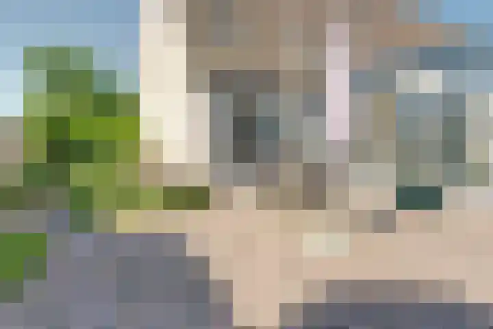 Schapenweide 113 Duiven thumbnail 32