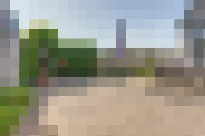 Schapenweide 113 Duiven thumbnail 34