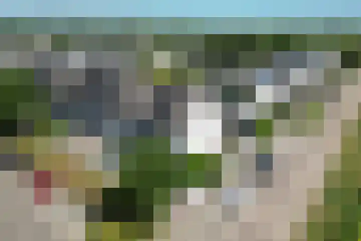 Schapenweide 113 Duiven thumbnail 35