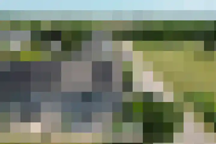 Schapenweide 113 Duiven thumbnail 36