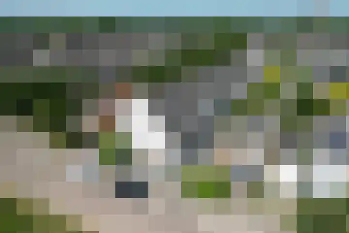 Schapenweide 113 Duiven thumbnail 37