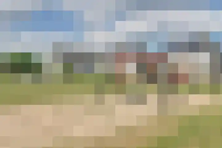 Schapenweide 113 Duiven thumbnail 38
