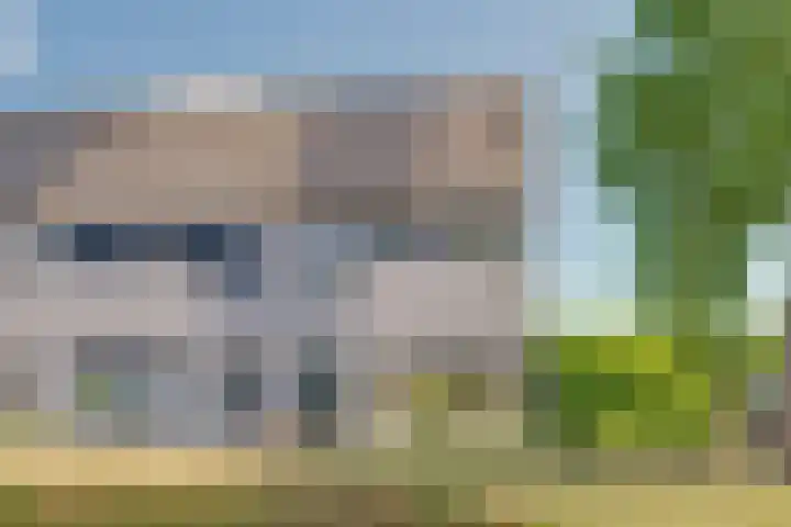 Schapenweide 113 Duiven thumbnail 43