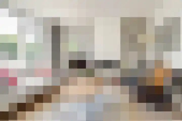 Schapenweide 113 Duiven thumbnail 6
