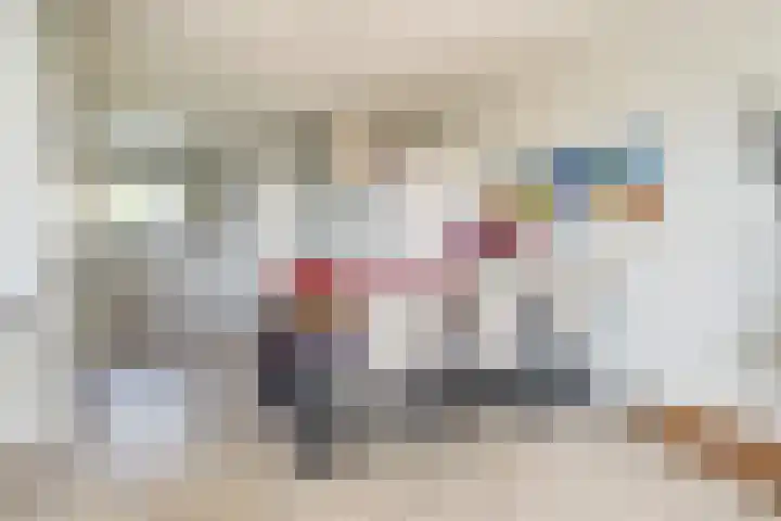 Schapenweide 113 Duiven thumbnail 8