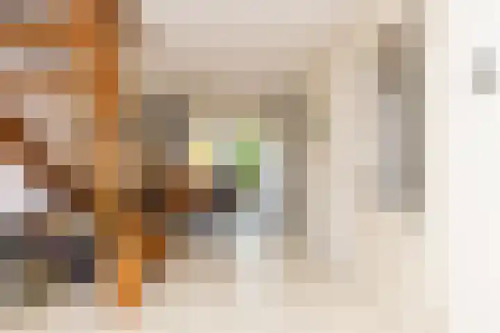 Schapenweide 12 Zwaag thumbnail 10