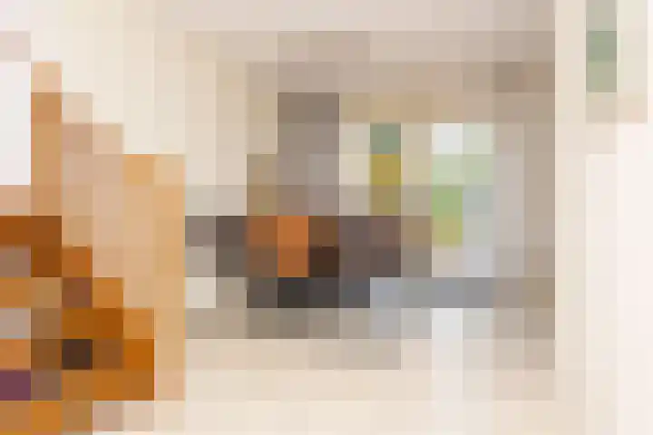 Schapenweide 12 Zwaag thumbnail 11