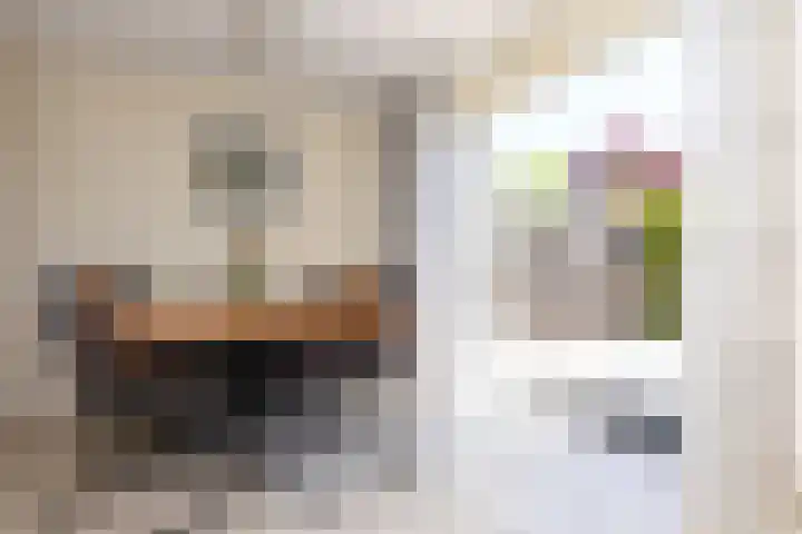 Schapenweide 12 Zwaag thumbnail 13