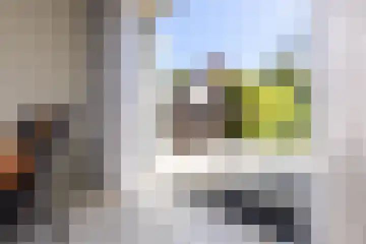 Schapenweide 12 Zwaag thumbnail 14