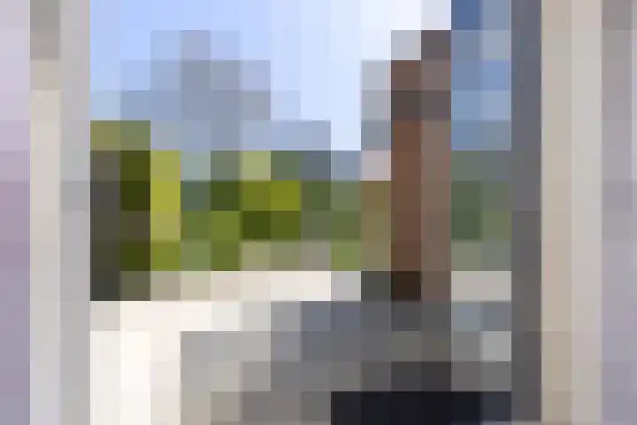Schapenweide 12 Zwaag thumbnail 15
