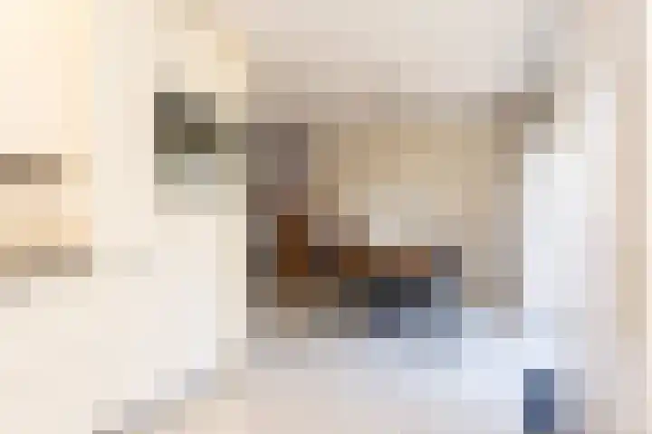 Schapenweide 12 Zwaag thumbnail 16