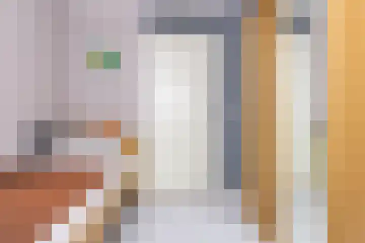 Schapenweide 12 Zwaag thumbnail 21