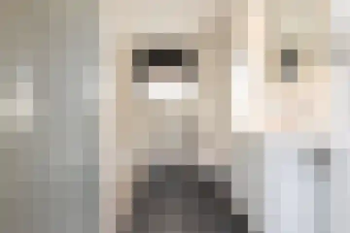 Schapenweide 12 Zwaag thumbnail 24