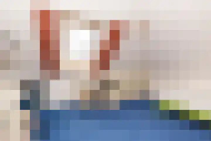 Schapenweide 12 Zwaag thumbnail 28