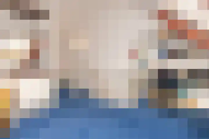 Schapenweide 12 Zwaag thumbnail 29