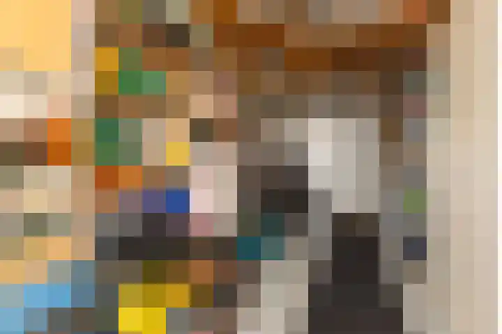 Schapenweide 12 Zwaag thumbnail 31