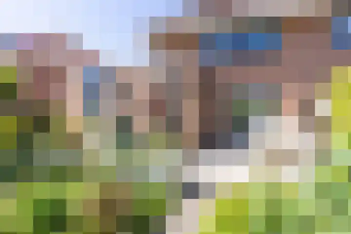 Schapenweide 12 Zwaag thumbnail 32
