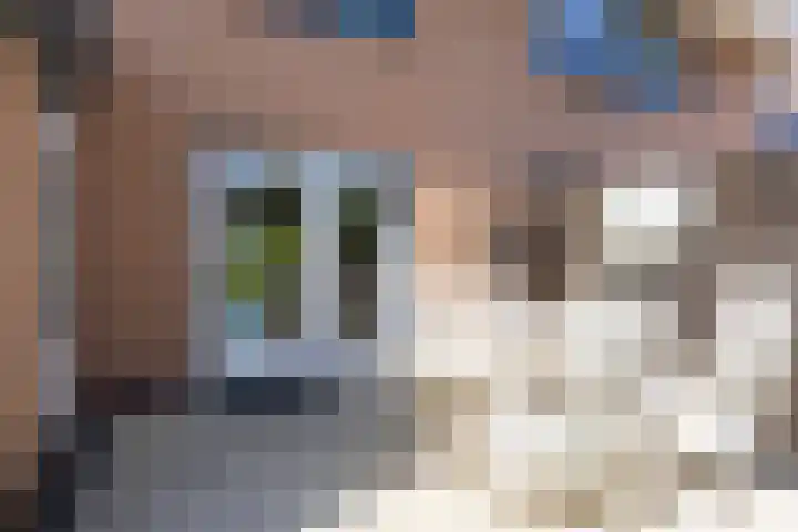 Schapenweide 12 Zwaag thumbnail 34